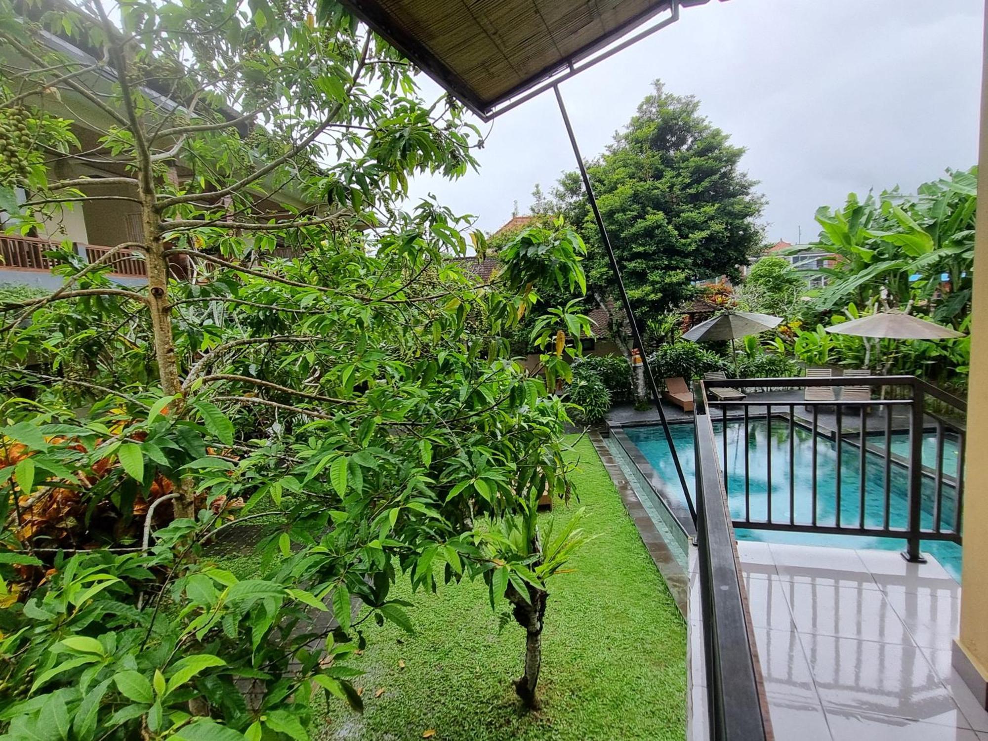 Nyoman Sandi Guest House Ubud Eksteriør billede