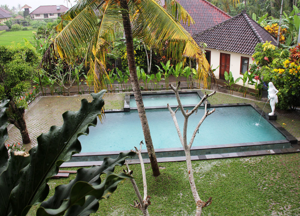 Nyoman Sandi Guest House Ubud Eksteriør billede